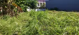 Tanah Raya Dharmahusada Indah Gubeng Surabaya Timur