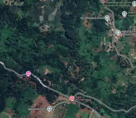 JUAL BU, TANAH 100 HA CIANJUR CCOK U/PEM. WISATA, PERTANIAN/PETERNAKAN