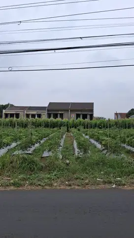 Tanah Strategis Joyo Agung Dekat Kampus Kota Malang