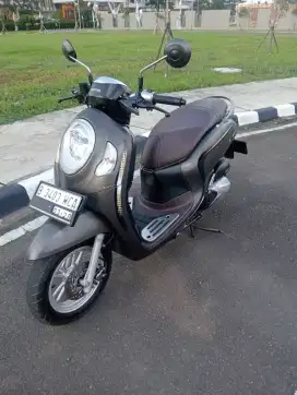 Honda Scoopy Esp Stylish