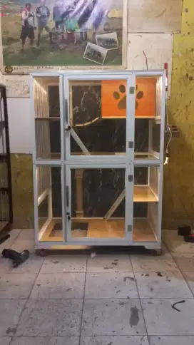 Kandang kucing AEL