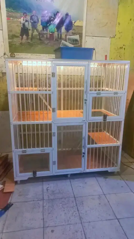 Kandang kucing dufi