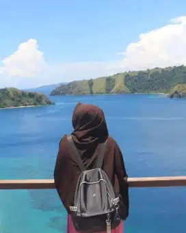 Lowongan kerja asisten rumah tangga untuk wanita profesional