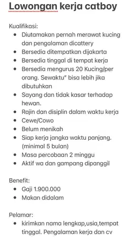 Lowongan kerja catboy dan catgirl