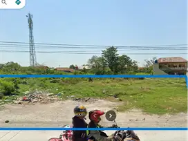 Tanah Murah, Lokasi Strategis Pinggir Jalan Raya Pantura