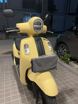 Fazzio kuning 2024