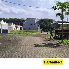 Tanah Murah Kedungrejo 1 Jutaan Saja