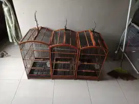 Jual kurung burung kotak no 2 ada 3 buah