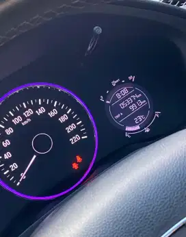 Hrv SE tahun 2020