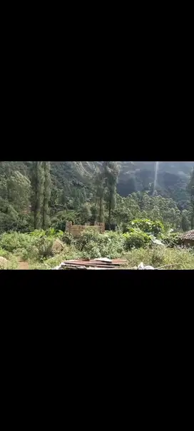 Lahan wisata 4 HA harga 250 ribu permeter 17 km dari Gunung Bromo