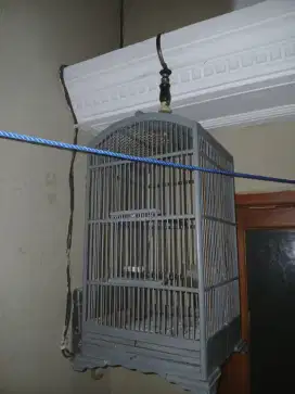 Sangkar uk 27x27