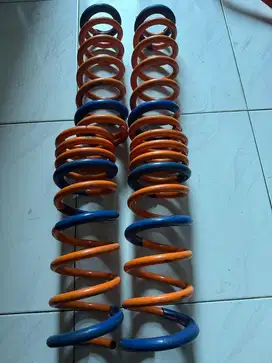 Per Ispring fortuner