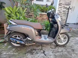 Honda scoopy 2019