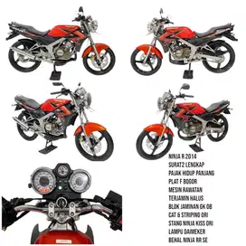 Ninja R 2014 pjk pnjng gres cat ori striping ori seger