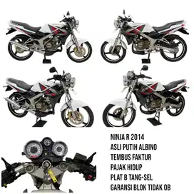 Ninja R 2014 gres pajak panjang motor terawan