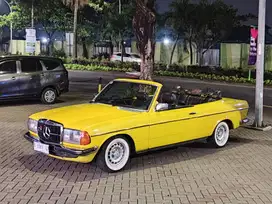 Mercedes-Benz Tiger 1979 Bensin