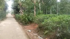 Tanah kebun 491 m, Pinggir Jalan Mobil, Bojong Purwakarta.