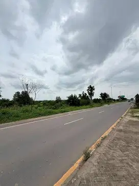 DIJUAL TANAH 3 HEKTAR DI PINTU MASUK TOL PALINDRA (segitiga emas)