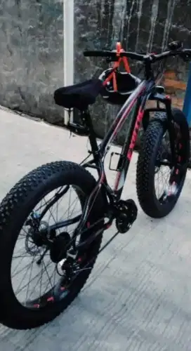 Sepeda exotic ban besar
