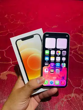 Iphone 12 mini 64 Putih