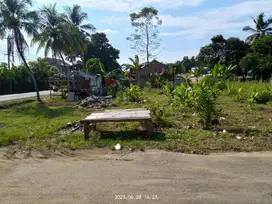 Tanah Cariu Bogor Lokasi Pinggir Jalan
