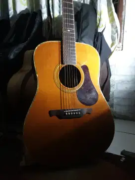 Alvarez Gitar AD-08/S