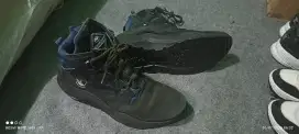 Sepatu Timberland