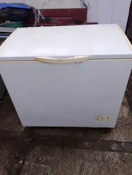 Frezer box 250 ltr