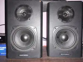 Speaker Kurzweil 4 inc