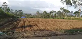 Tanah kebun Pangalengan view bagus, Jalan lebar cor