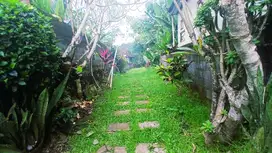 DIJUAL LAHAN SHM 1785 m2 JUNGLE VIEW-LOS SUNGAI DEKAT PANTAI NY