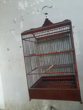 Sangkar kotak No 1