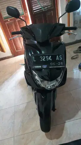 Freego masih orisinilan