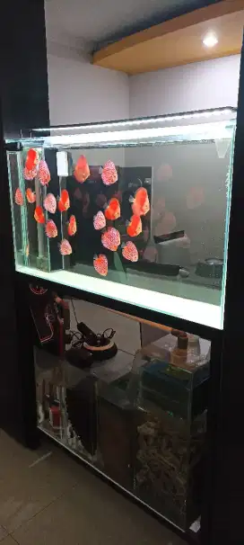 Aquarium akuarium fullset 8ml