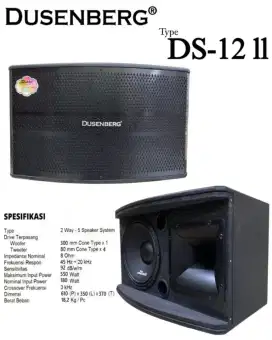 Speaker pasif 10 inchi DS12