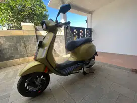 Vesmet Green Ambizioso Mate