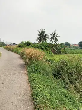 DIJUAL CEPAT TANAH CIKARANG TIMUR COCOK BANGUN PERUMAHAN