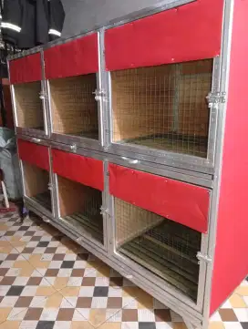 Kandang ayam bangkok dll