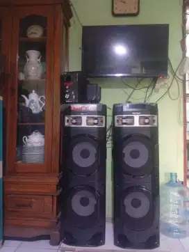 Speaker salon Polytron pas 10 pro