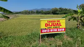 Dijual sebidang Tanah SHM di tepi jalan pantura Rembang- Tuban, Kragan