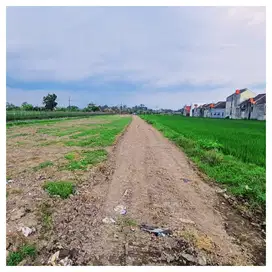 View Sawah, Dijual Tanah Di Jalan Godean Sidoarum