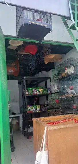 TAKE OVER KIOS BURUNG DAN PAKAN TERNAK
