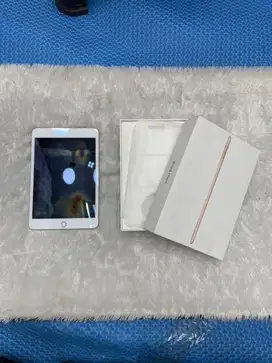 Ipad Mini 5 64 Gb
