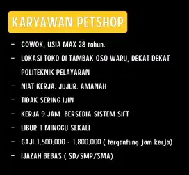 Karyawan Petshop Cowok