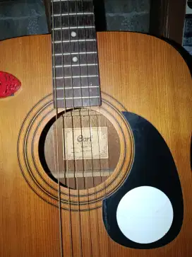 gitar cort ad810e op