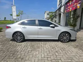Toyota Corolla Altis Hybird 2022