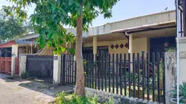 Hit tnh Ketintang (186m2) SHM