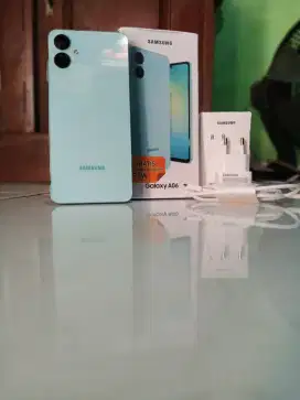 Samsung Galaxy A06