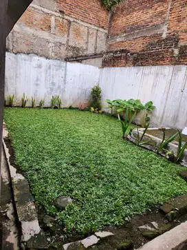 Termurah rumah minimalis siap huni di antapani