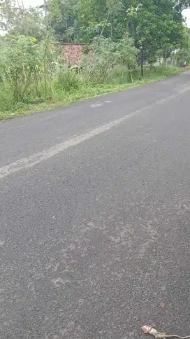 Jalan kopi,citra Maja tanah untuk usaha